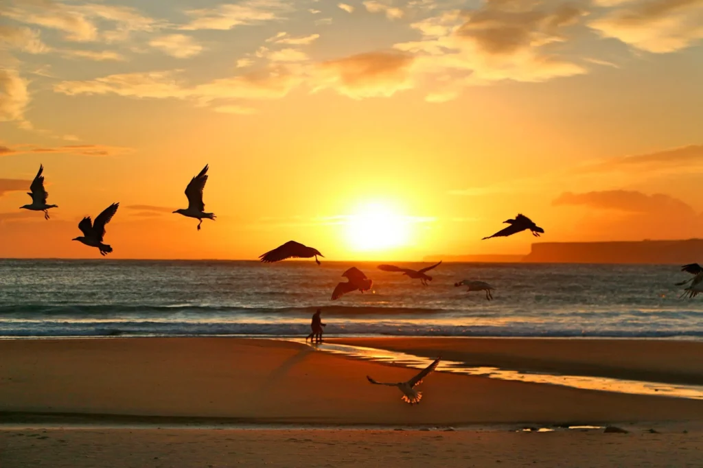 Fotor_144039765110633