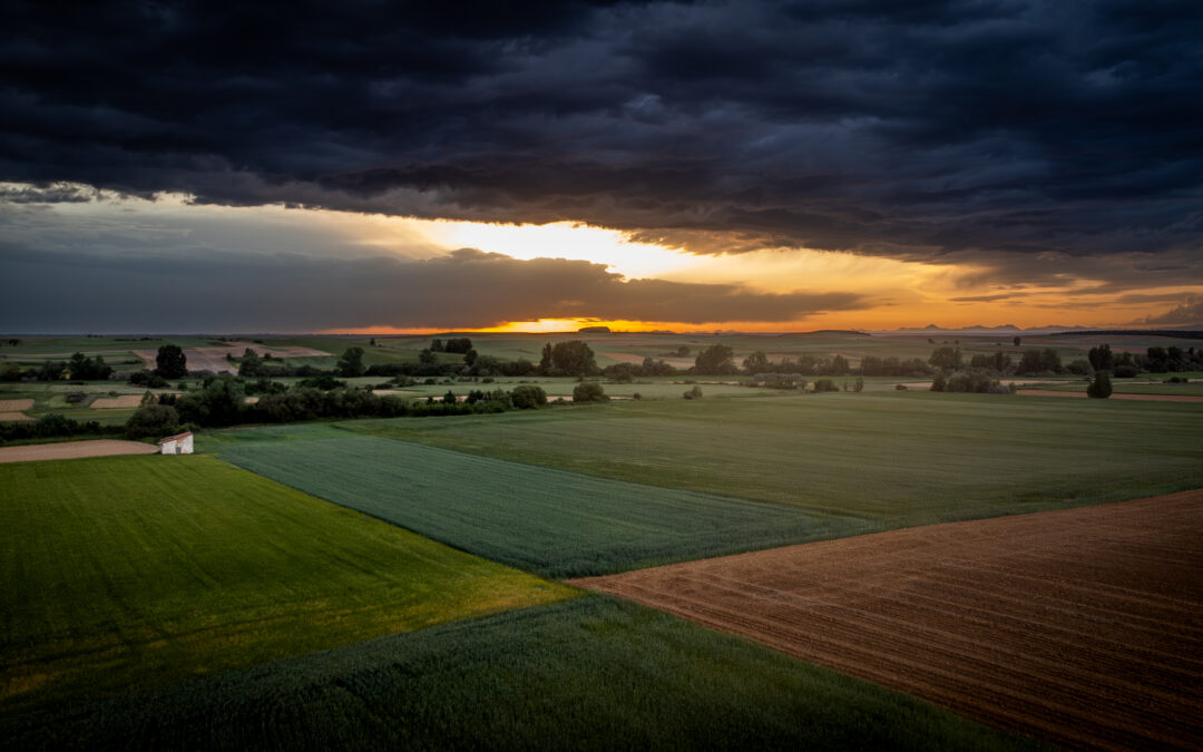 Antes de la tormenta