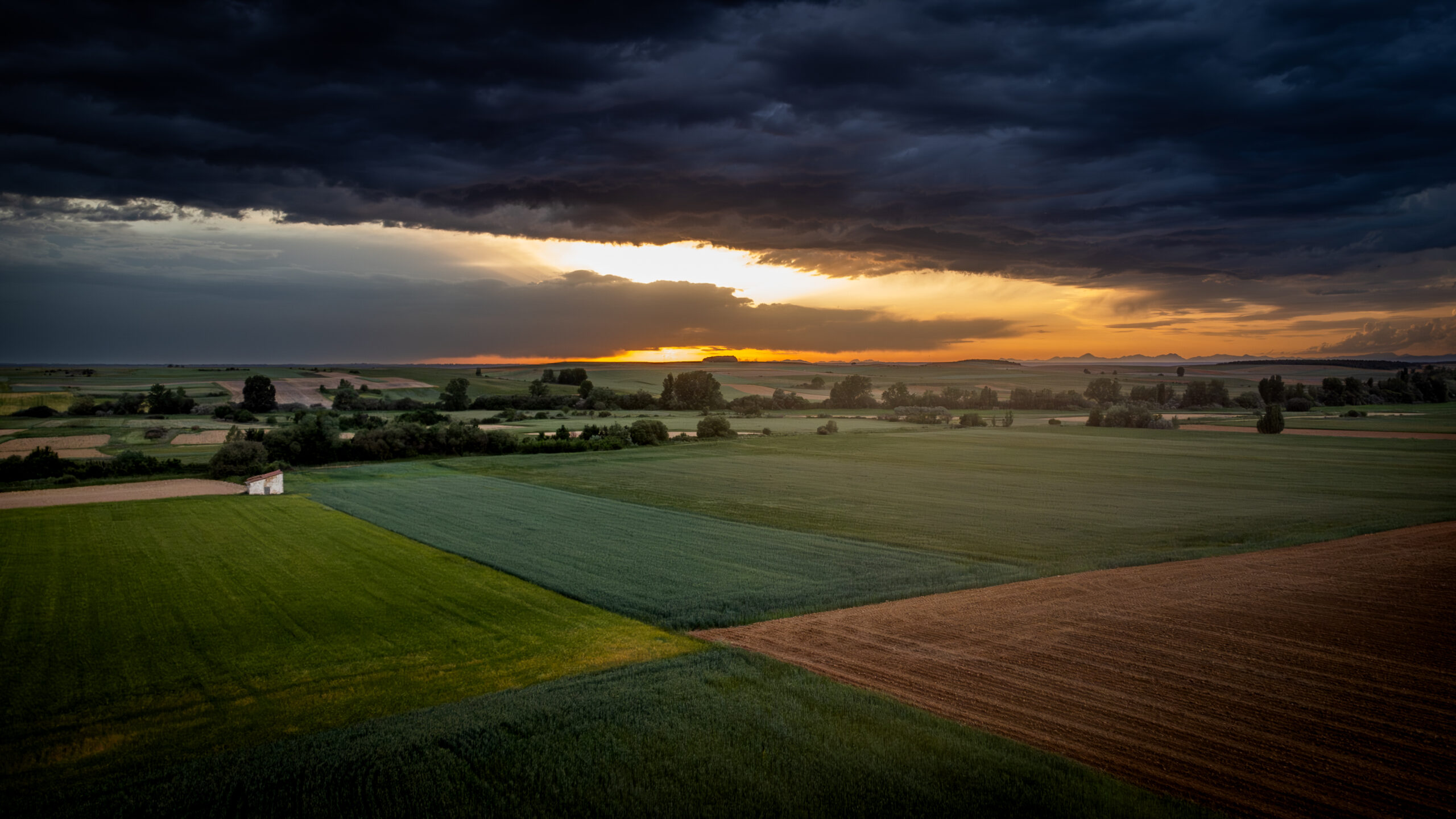 DJI_0958-2